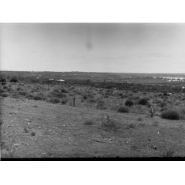 Rural View at Waikerie