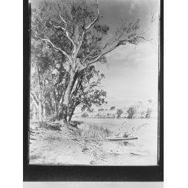 Swan Reach - River Murray