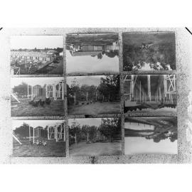 Scenes of a Poultry Farm
