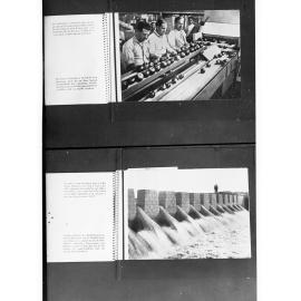 Men Packing Apple on Conveyor Belt and Showing a Dam