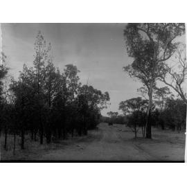 Rural view showing dirt road and automobile
