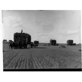 Hay Carting Saddleworth