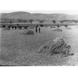 Haymaking at Mitcham showing horse and wagon