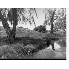Mount Barker Springs