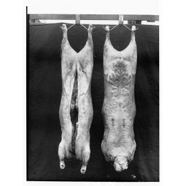 Carcases hanging in cool room - Roseworthy Agricultural College