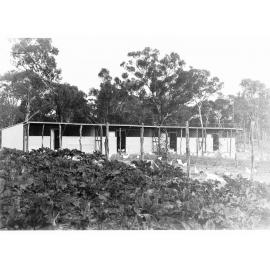 Chickens in a yard - showing coops