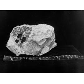 View of a meteorite