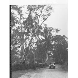 Automobile on a Road Near Williamstown
