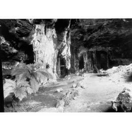 Naracoorte Caves