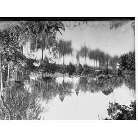 Pond in the Botanic Gardens