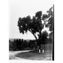 Road and fencing at Blackwood