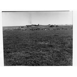 Reclaimed area for Irrigation Department