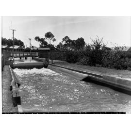 Berri Irrigation Branch - River Murray