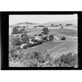 Rowland Flat