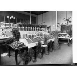 Agriculture Exhibit
