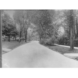 View of street and housing in USA suburb - Town Planning photos USA