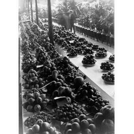 Fruit and Nut Exhibition at Royal Adelaide Show
