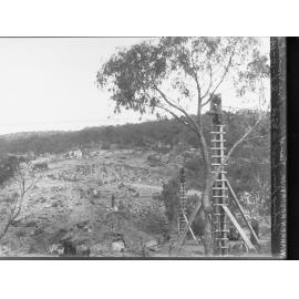 Construction of Warren Reservoir ,on South Para River, South Australia,  view of flying foxes and foundations, looking from east to west