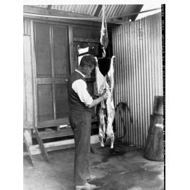 Gutting a sheep at Minda Home's Craigburn Farm,  Blackwood