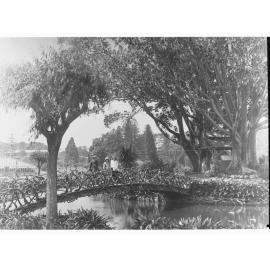 Botanic Gardens, Children on bridge