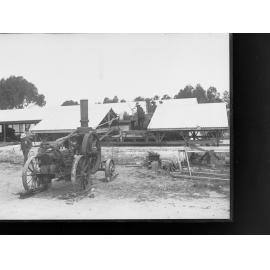 Hay Making at Roseworthy Agricultural College