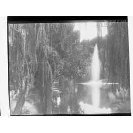 The Botanic Gardens, Adelaide
