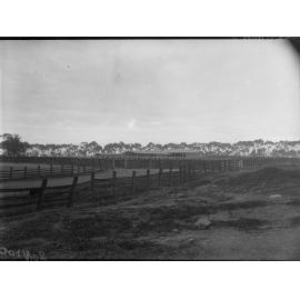 Old sale yards on North Terrace, Adelaide