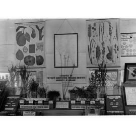 Agricultural Hall, Royal Adelaide Show, Tobacco Display