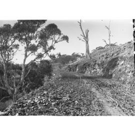 Road Through Rocky Mountainside