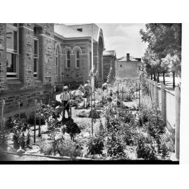 North Adelaide Public School garden, c1945