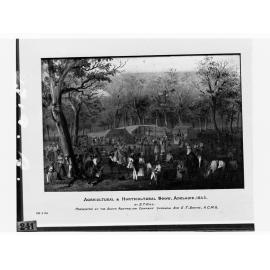 Agricultural & Horticultural Show, Adelaide, 1845  - Sketch by S T Gill - Presented by the South Australian Company through Sir E T Smith, KCMG