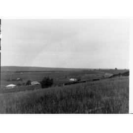 Rural view of Happy Valley - farmhouses and fields