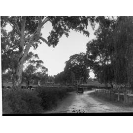 Road Scene Gumeracha