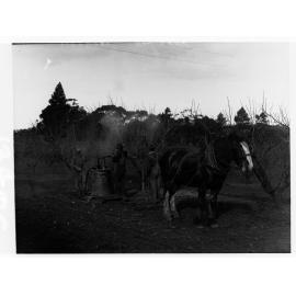 Urrbrae Agricultural College showing students with an insecticide pump.  A horse is pulling the pump