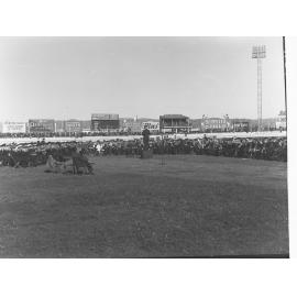 Brass Band at Wayville Show Ground for state centenary