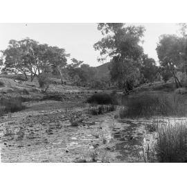 Nepowie Gorge Flinders Ranges