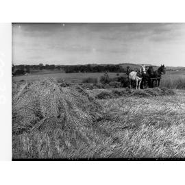 Harvesting wheat at Minda Home's Craigburn Farm, 1936