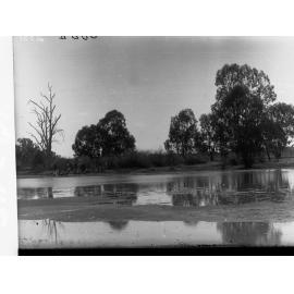 Lagoon at Cobdogla, River Murray