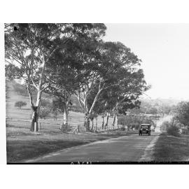 Automobile on Road Near  Springfield