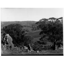 Rural View of Turretfield