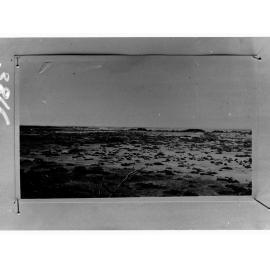 Rural view - location unknown, no information recorded