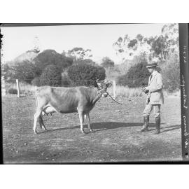 Mr Cowan's property at Littlehampton 