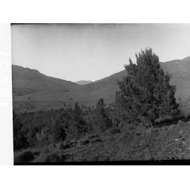 Entrance to Wilpena Pound, Flinders Ranges