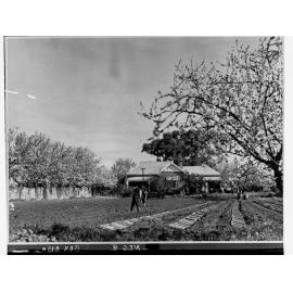 Farmhouse showing people working in the yard and almond blossom