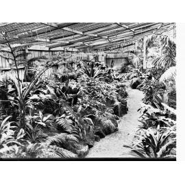 Simpson Shade House Botanic Gardens Adelaide