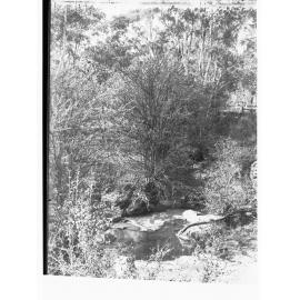 Graham's Creek, Clare