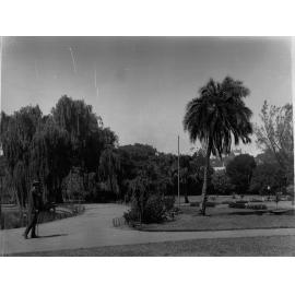 Botanic Gardens showing man strolling on the path