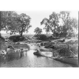 View of the Para River