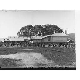 Colonel Light Gardens School