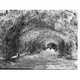 Botanic Gardens Shaded Path